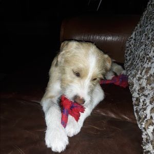 Meet your Posher, Luann